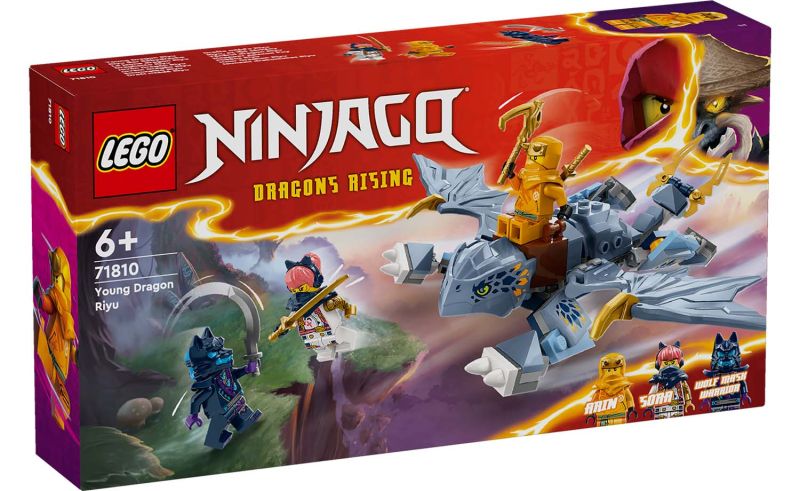 LEGO Ninjago - Young Dragon Riyu - 71810