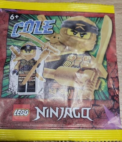 LEGO Ninjago - Cole paper bag - 892295