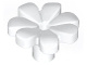 Plant Flower with Bar and Small Pin Hole