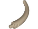 Dinosaur Tail End Section / Horn