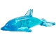 Dolphin with Abnormal Connection