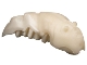 Bionicle Rahkshi Kraata Stage 5 with Marbled Pattern (list head color, describe the rest)