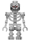 Robo Skeleton