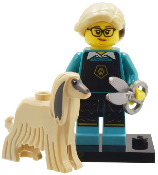 LEGO Minifigure Series 25 - Pet Groomer - 71045 - col25-12