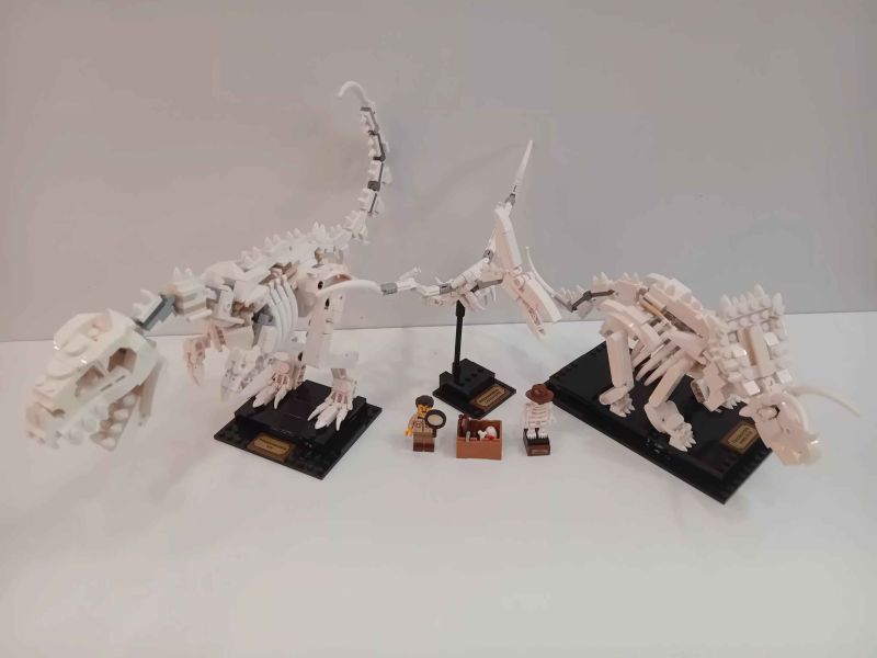 LEGO Ideas - Dinoszaurusz fosszíliák - 21320