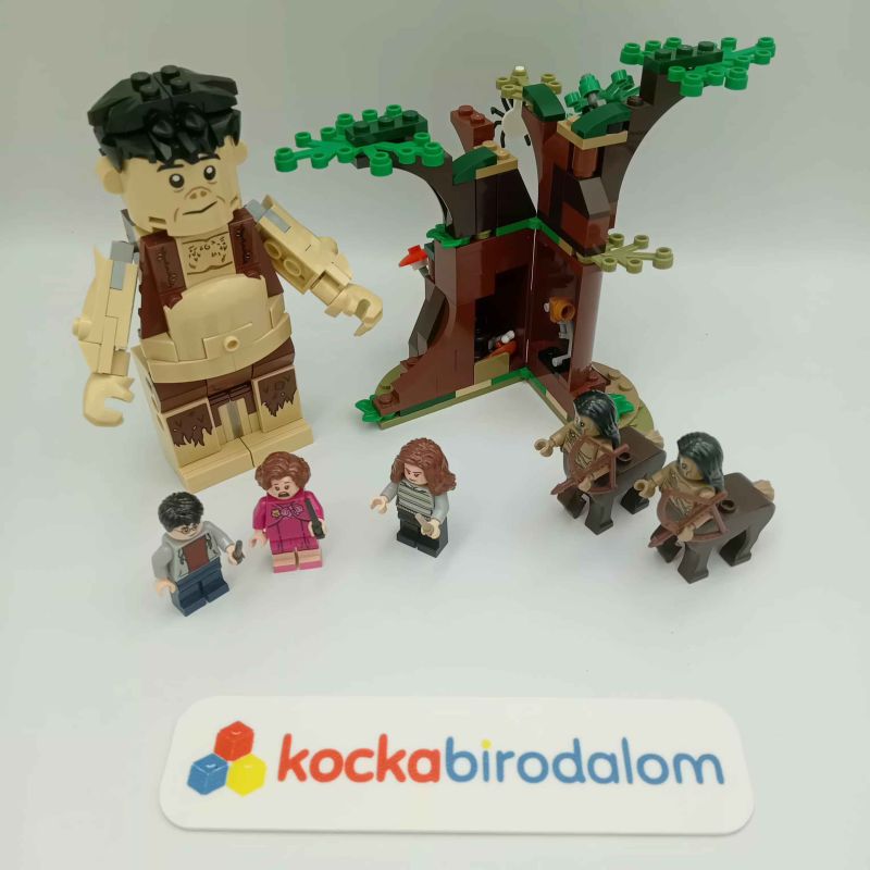 LEGO Harry Potter - A Tiltott Rengeteg: Összecsapás Umbridge-dzsel - 75967
